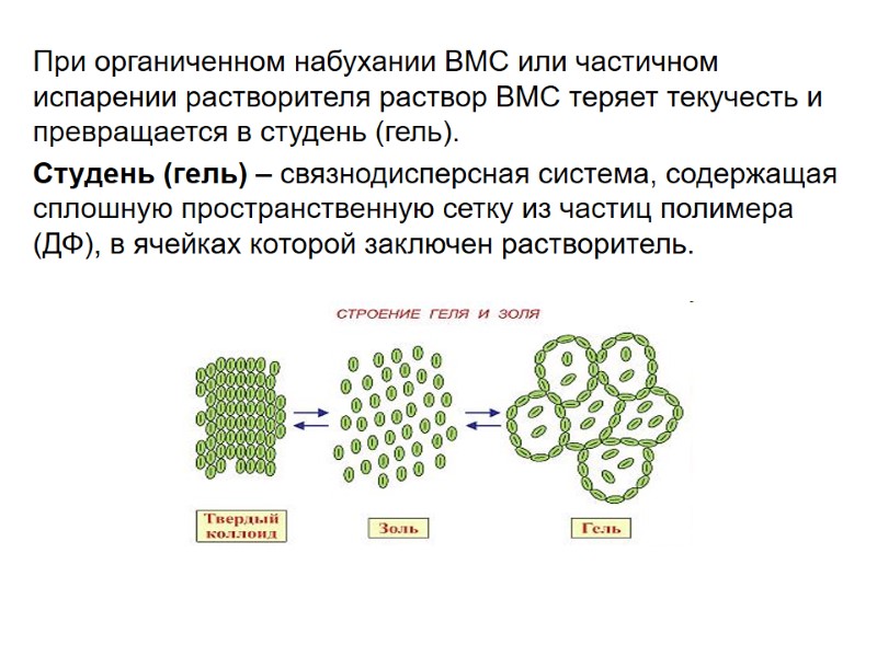 При органиченном набухании ВМС или частичном испарении растворителя раствор ВМС теряет текучесть и превращается При органиченном набухании ВМС или частичном испарении растворителя раствор ВМС теряет текучесть и превращается